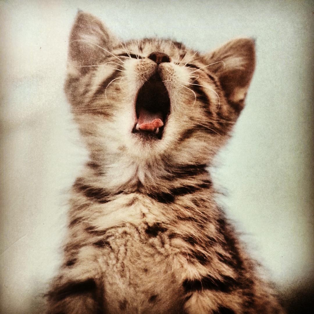 Ad:  tumblr_static_img_20130108_225333.jpg
Gsterim: 750
Boyut:  159.6 KB