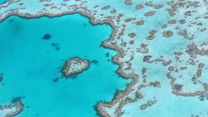 Ad:  thumbs_b_c_99719fbbec65830963e92eb3825e7a50.jpg
Gsterim: 558
Boyut:  76.6 KB