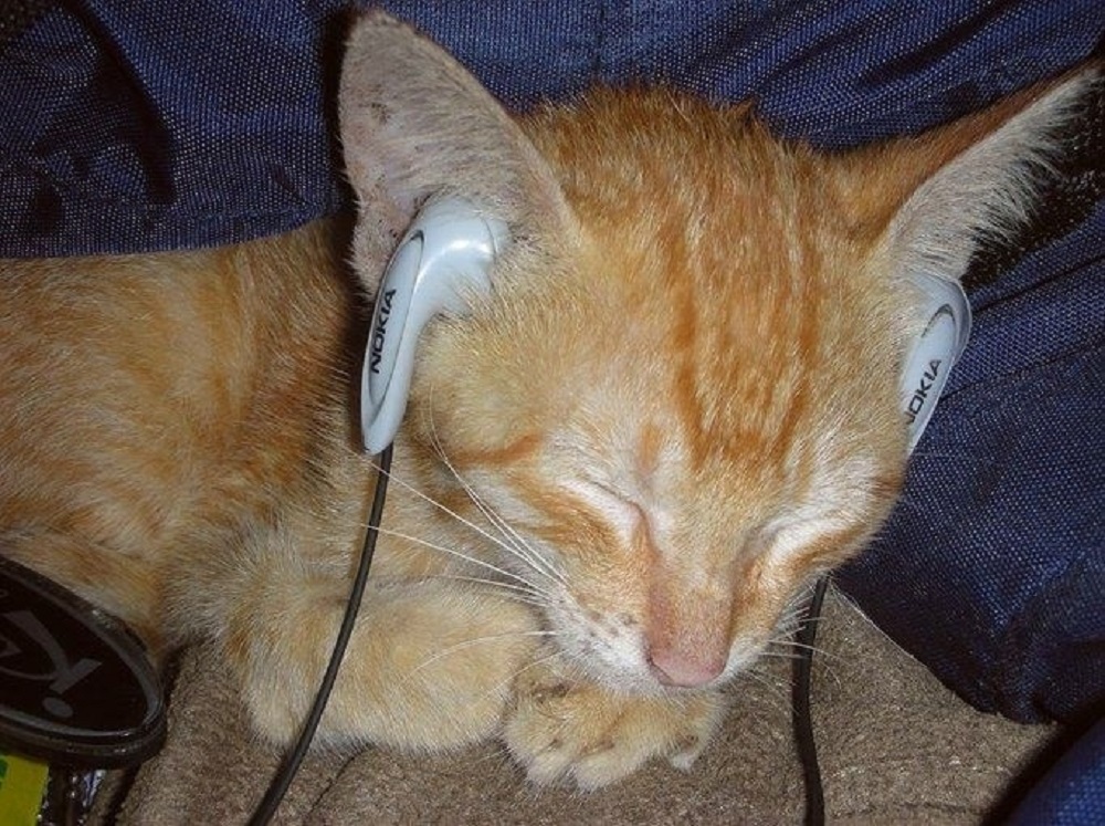 Ad:  internetin-yeni-fenomenleri,kCtN85z3cEyOMdAsQ3RCdw.jpg
Gsterim: 233
Boyut:  298.7 KB