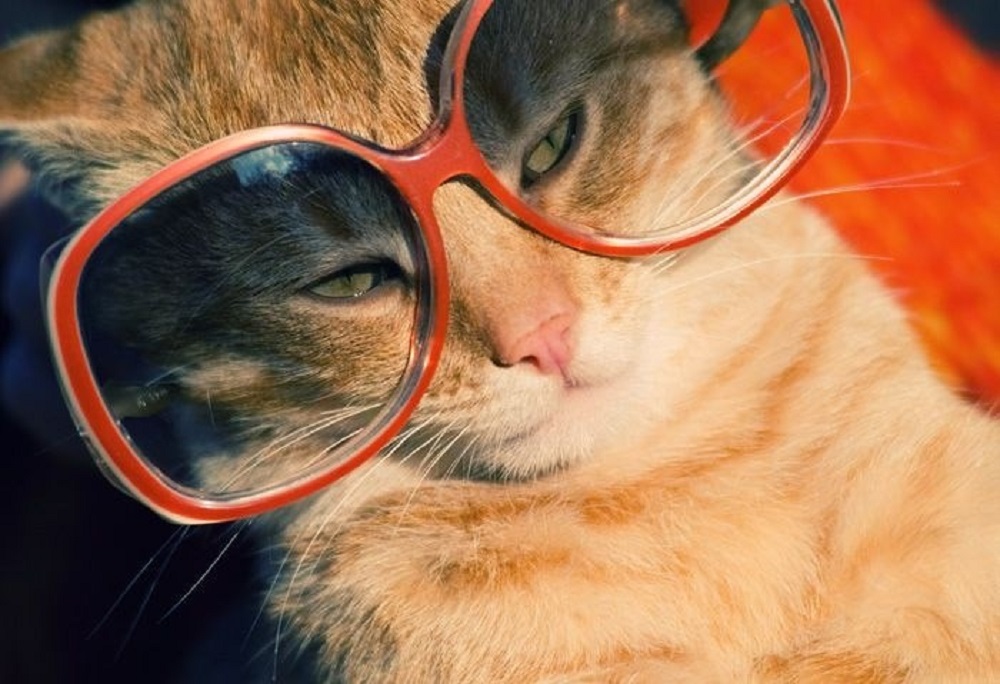 Ad:  internetin-yeni-fenomenleri,gl_Nax5U_k6Gw0UIHTVfBQ.jpg
Gsterim: 293
Boyut:  183.7 KB