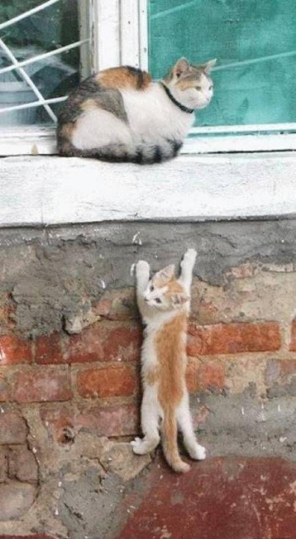 Ad:  internetin-yeni-fenomenleri,dd_CU2rzv023_IlUTUTgtA.jpg
Gsterim: 235
Boyut:  81.8 KB