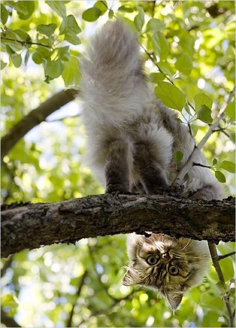 Ad:  internetin-yeni-fenomenleri,e2GxUmC3aU-p9h2sD3Gsmg.jpg
Gsterim: 272
Boyut:  113.0 KB