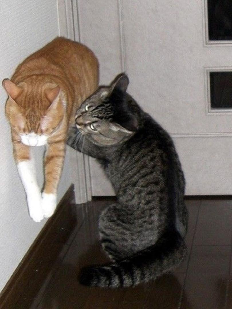 Ad:  internetin-yeni-fenomenleri,5ZrmlA6dMEG7gu1la5wOrQ.jpg
Gsterim: 269
Boyut:  85.4 KB