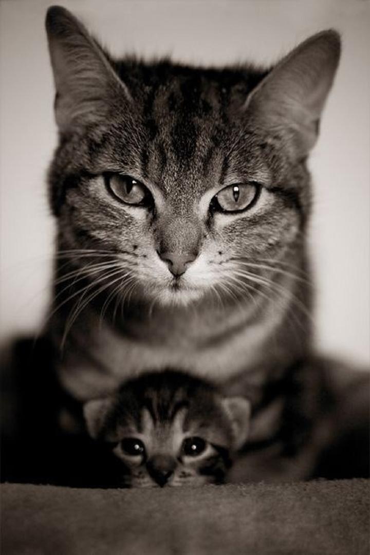 Ad:  internetin-yeni-fenomenleri,l483FXGfB0C2KKhniWyq6A.jpg
Gsterim: 250
Boyut:  65.5 KB