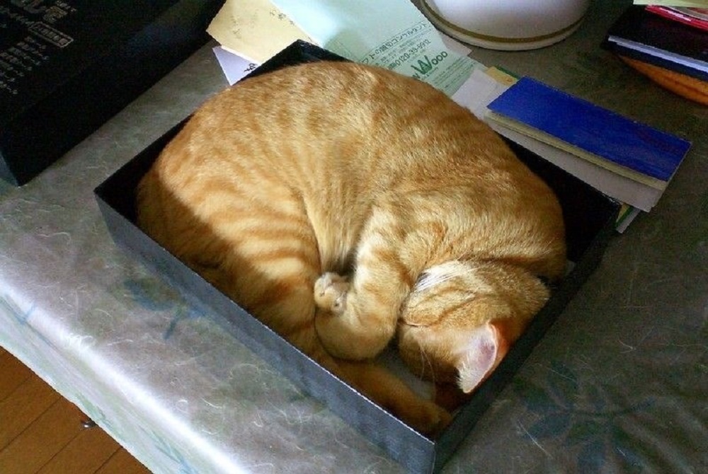 Ad:  internetin-yeni-fenomenleri,lWFDlkpf-0efiZC1QQtdpQ.jpg
Gsterim: 268
Boyut:  208.1 KB