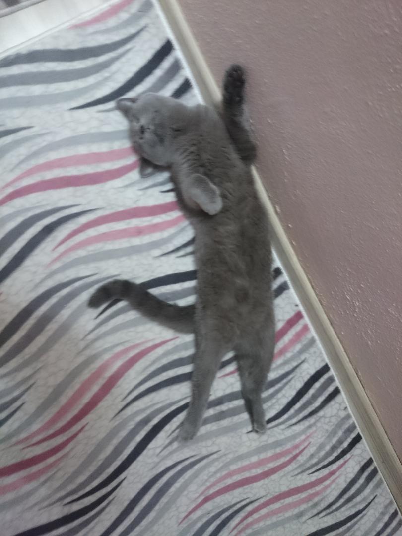 Ad:  DSC_0359.jpg
Gsterim: 219
Boyut:  85.9 KB