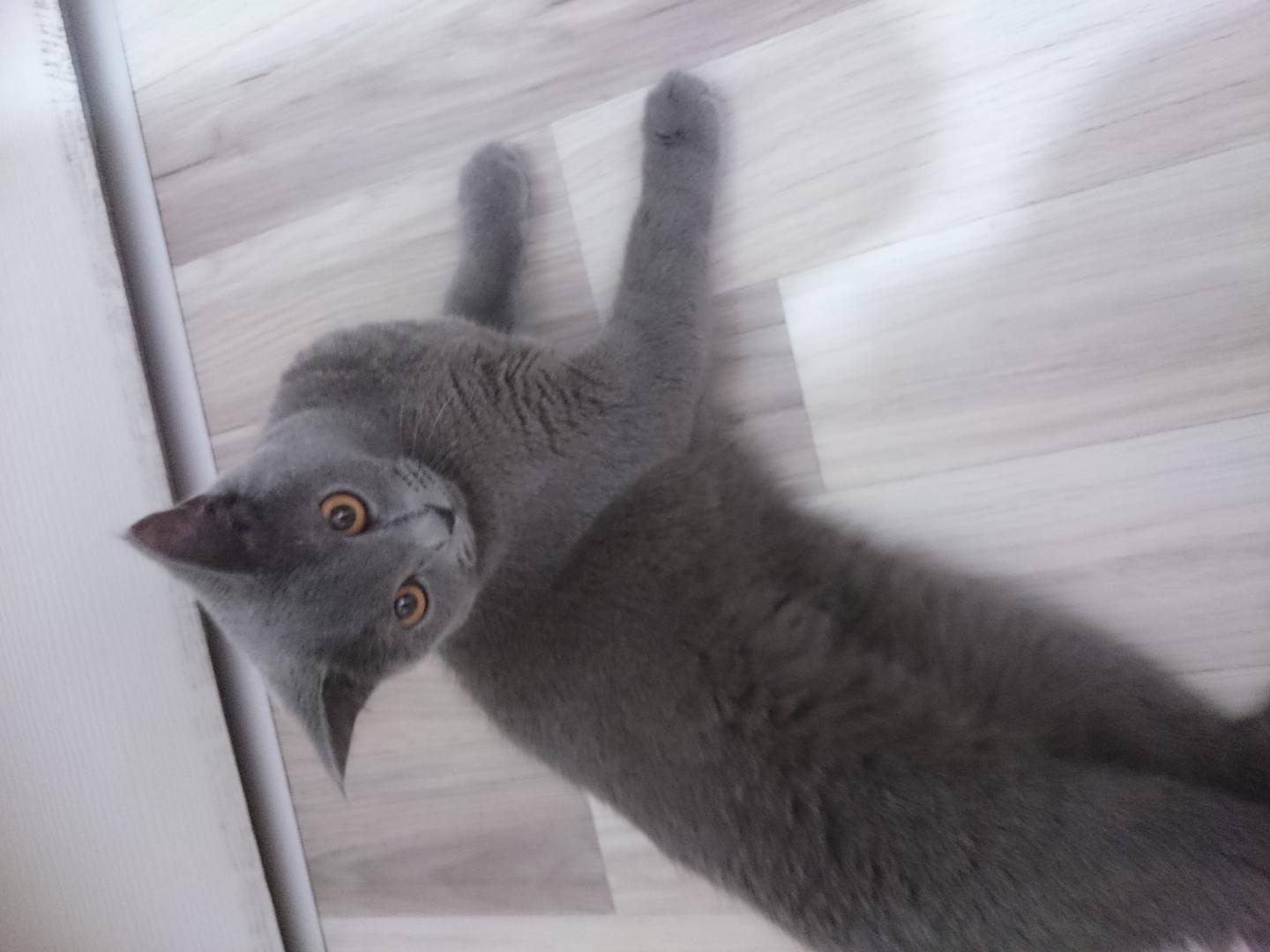 Ad:  DSC_0001.jpg
Gsterim: 182
Boyut:  87.9 KB