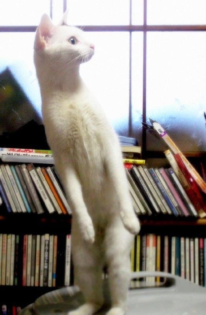 Ad:  internetin-yeni-fenomenleri,RKG-Kwg-d0CibK6qfxzAMw.jpg
Gsterim: 237
Boyut:  74.5 KB