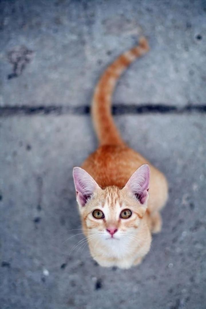 Ad:  internetin-yeni-fenomenleri,Oed4jKchKkm0R06ZthuwVw.jpg
Gsterim: 329
Boyut:  53.1 KB