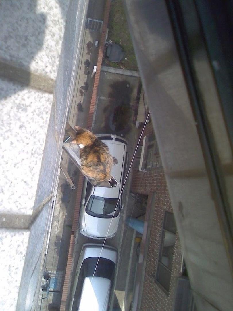 Ad:  internetin-yeni-fenomenleri,lDWGlvwdPEyau6ZT8nNwhA.jpg
Gsterim: 232
Boyut:  88.5 KB