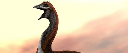 Ad: dunyanin-en-buyuk-kusu-uc-metrelik-vorombe-titan,ypdtIqpbN0uXcbINZQWlSg.jpg
Gösterim: 306
Boyut: 17.2 KB