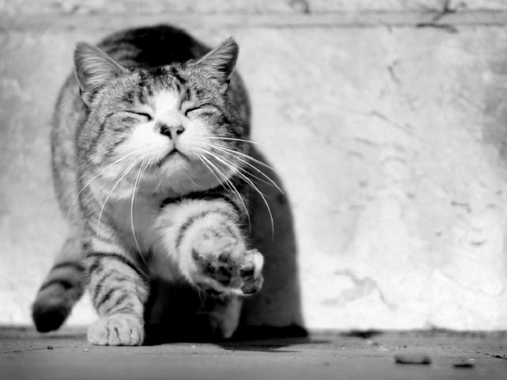 Ad:  internetin-yeni-fenomenleri,xYOrrQORXkSQdMcMZ4yBhg.jpg
Gsterim: 363
Boyut:  142.1 KB