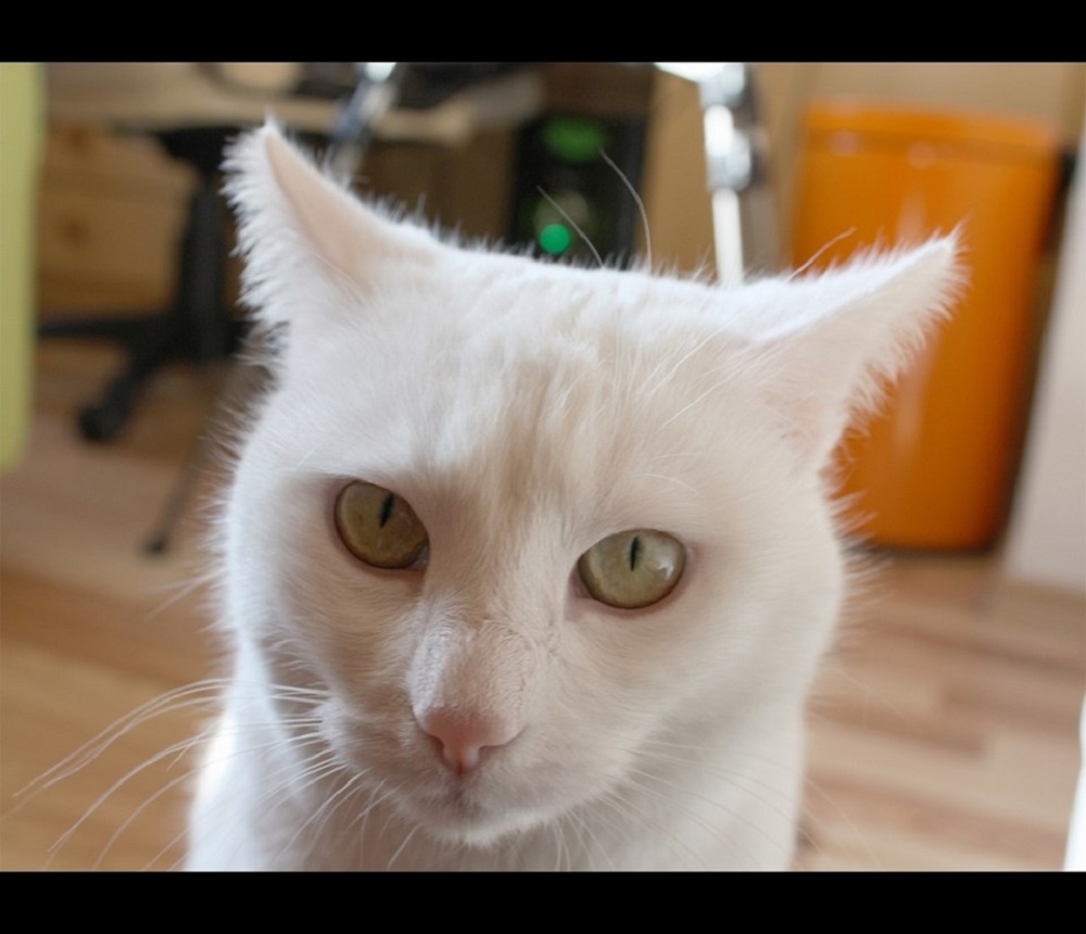 Ad:  internetin-yeni-fenomenleri,p3Dkm7yrmEGyP1D_0uHc8A.jpg
Gsterim: 481
Boyut:  131.5 KB