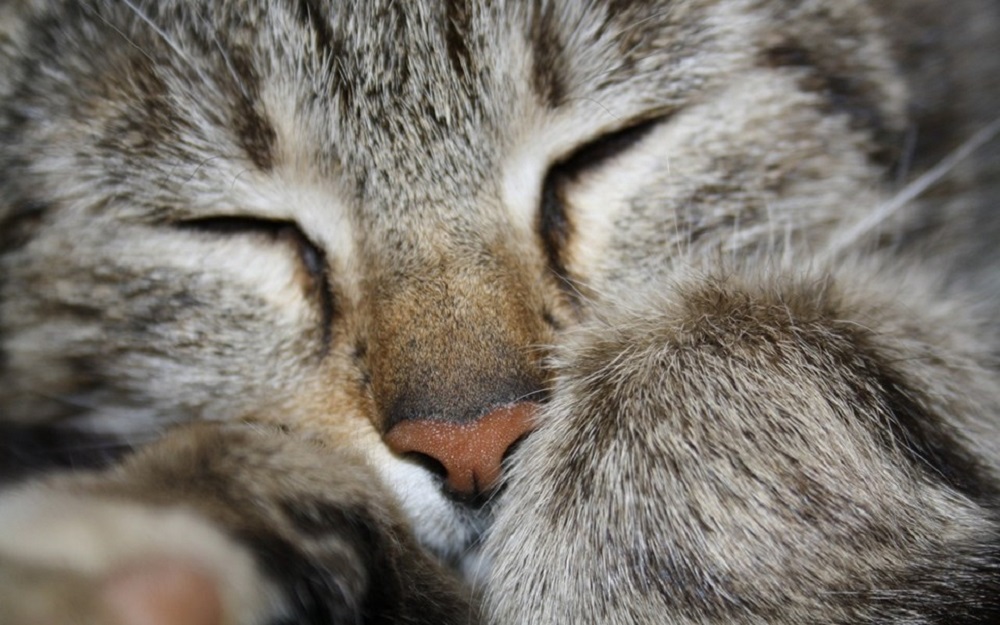 Ad:  internetin-yeni-fenomenleri,mQPaG40OO0qFecNxJtspRw.jpg
Gsterim: 326
Boyut:  197.6 KB