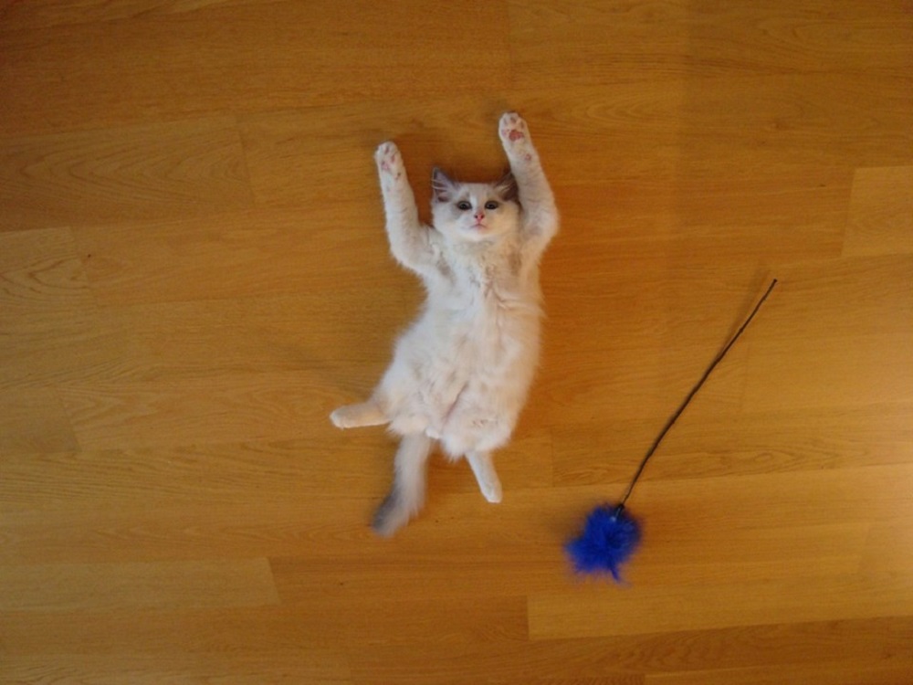 Ad:  internetin-yeni-fenomenleri,MIjOecoSnUK5pNkP1JEuzg.jpg
Gsterim: 238
Boyut:  140.7 KB