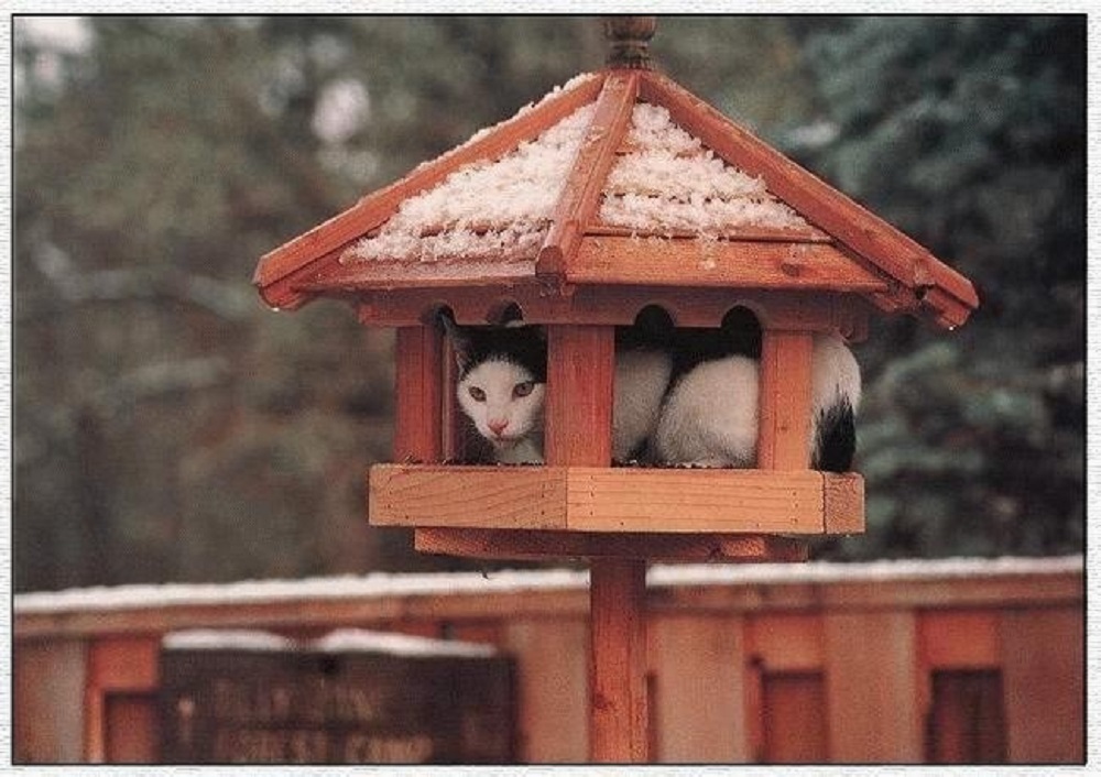 Ad:  internetin-yeni-fenomenleri,Fljus2QOvUSMLh610HiPtw.jpg
Gsterim: 256
Boyut:  188.7 KB