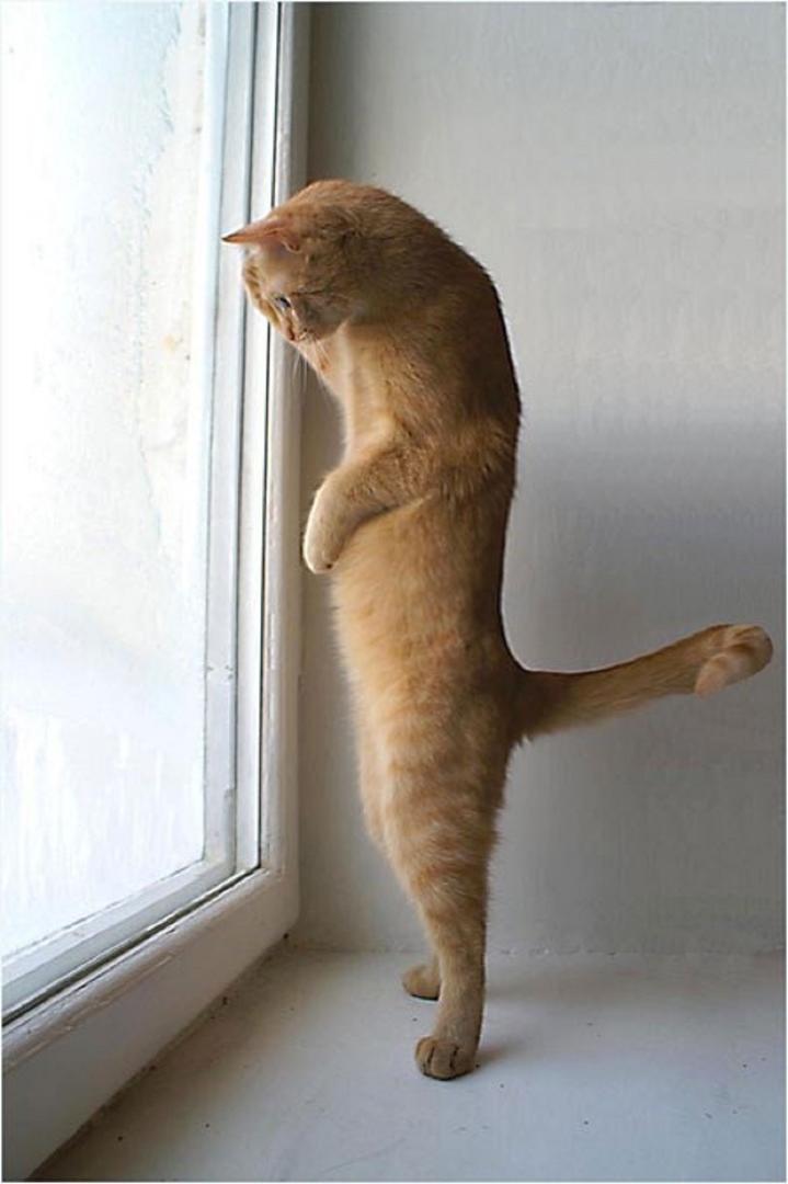 Ad:  internetin-yeni-fenomenleri,q7fc7nqjaUGpmipuq8hKVw.jpg
Gsterim: 219
Boyut:  53.0 KB