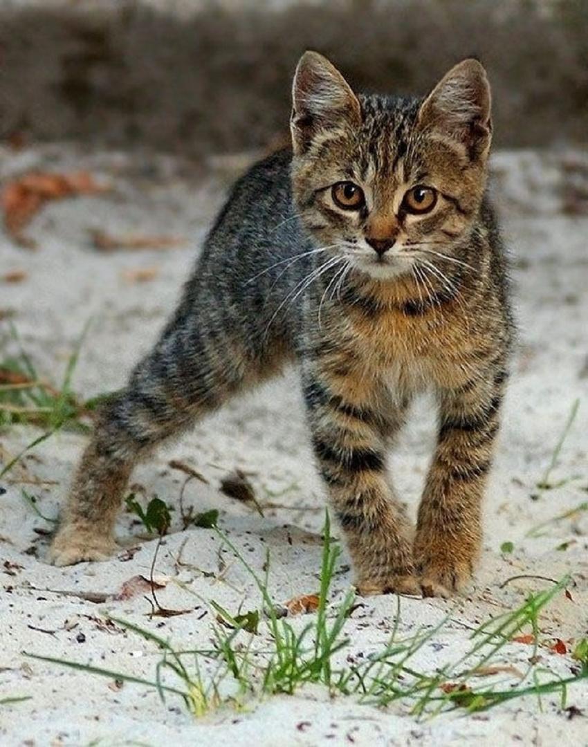 Ad:  internetin-yeni-fenomenleri,UswS6XMgFEmr_DIUVeoqYw.jpg
Gsterim: 473
Boyut:  139.6 KB