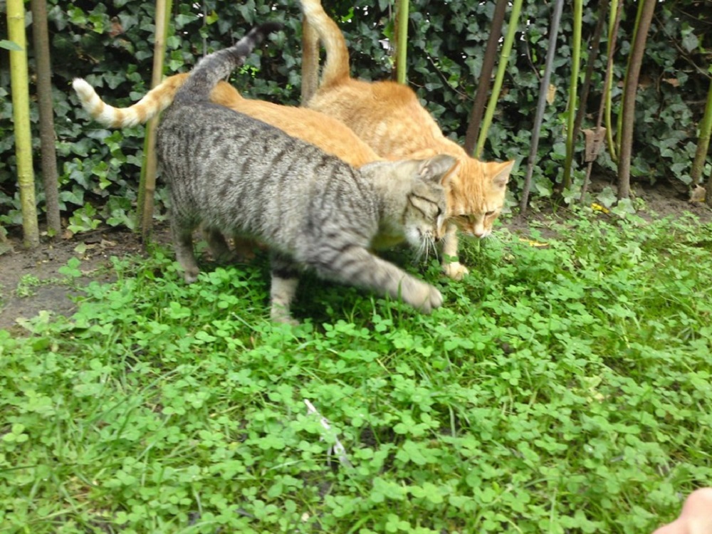 Ad:  internetin-yeni-fenomenleri,zgJTgpQPlUWPLtlF9NTXUg.jpg
Gsterim: 258
Boyut:  307.3 KB