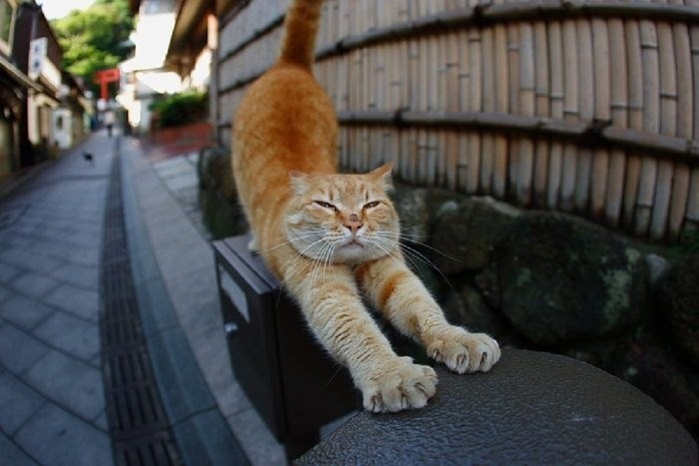 Ad:  internetin-yeni-fenomenleri,xbJFrVDqS0Gy25dnthaQpw.jpg
Gsterim: 332
Boyut:  147.6 KB