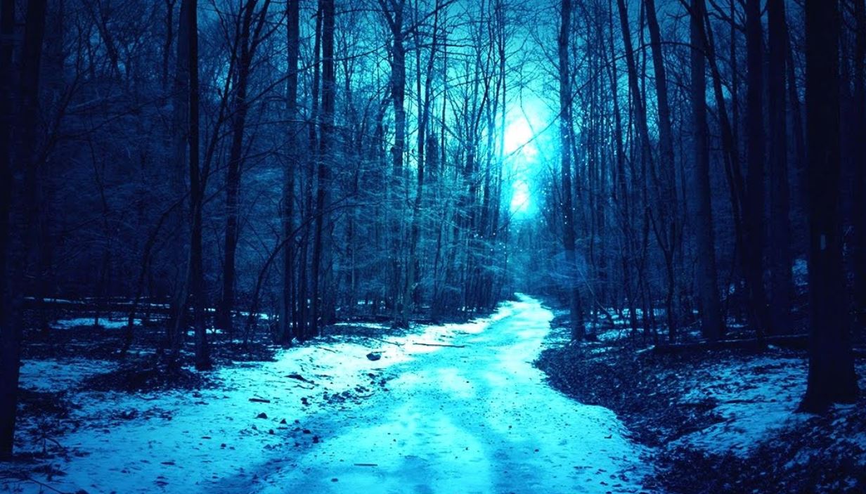 Ad: karanlık5.JPG
Gösterim: 1448
Boyut: 176.6 KB