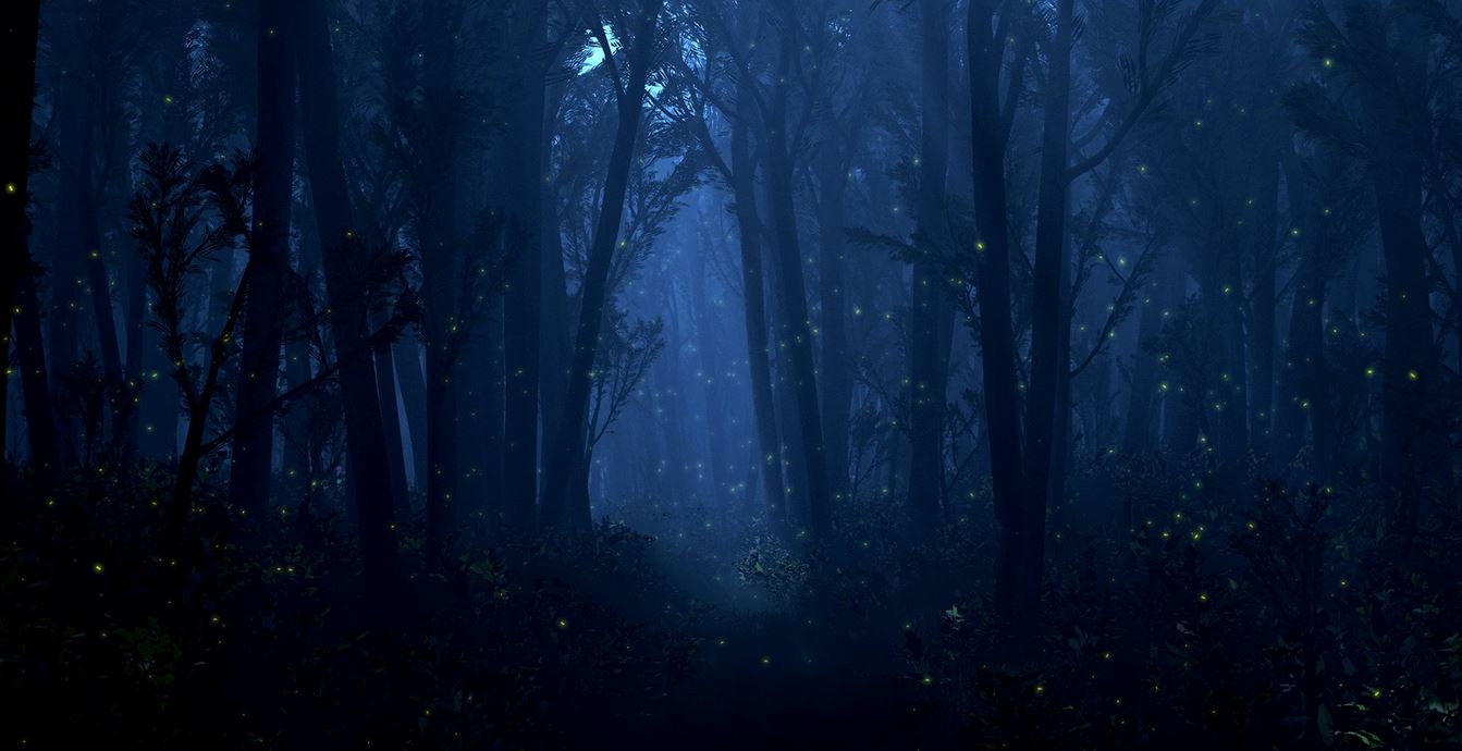 Ad: mavi1.JPG
Gösterim: 1309
Boyut: 95.5 KB