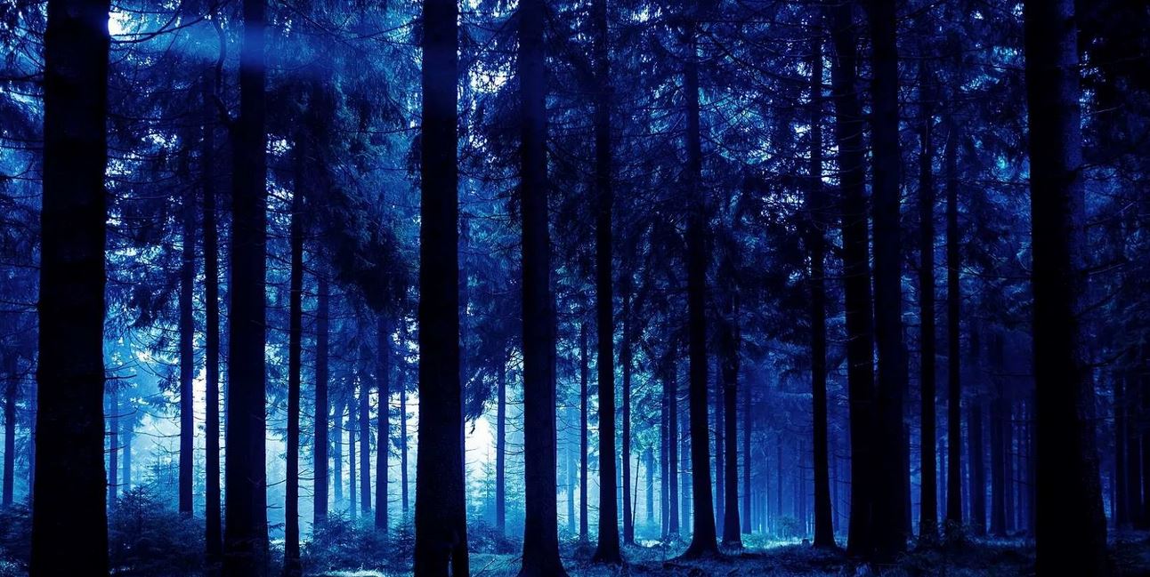 Ad: mavi3.JPG
Gösterim: 1345
Boyut: 189.9 KB