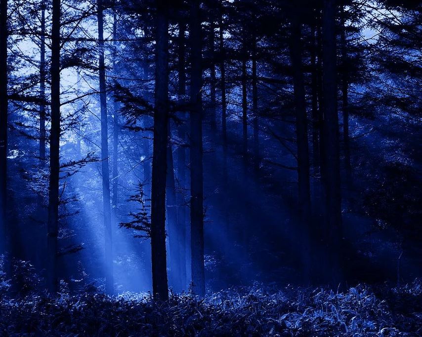 Ad: mavi2.JPG
Gösterim: 1090
Boyut: 143.9 KB