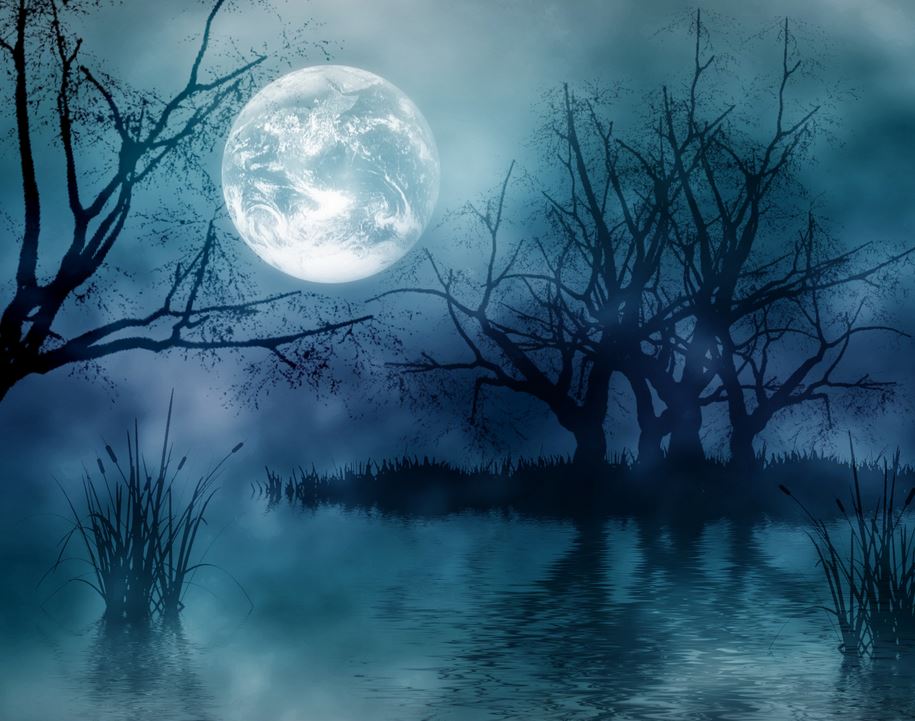 Ad:  mk10.JPG
Gsterim: 626
Boyut:  101.5 KB