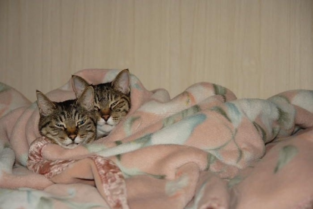 Ad:  internetin-yeni-fenomenleri,7RtWHk4lNk6bx4AKYnGHaQ.jpg
Gsterim: 402
Boyut:  108.8 KB