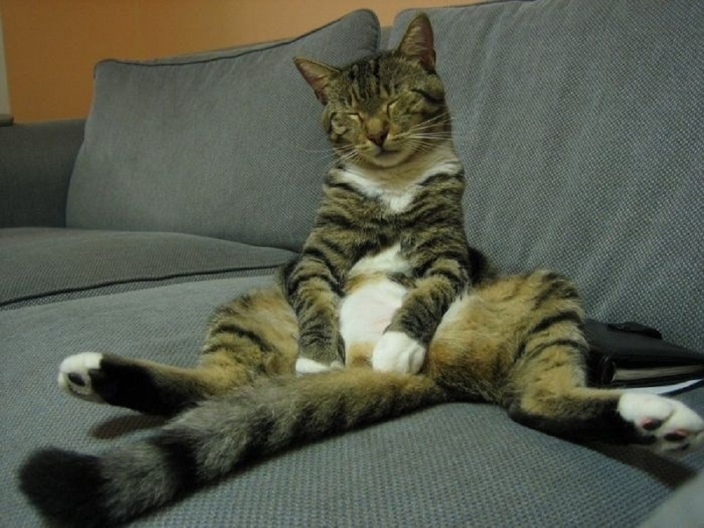 Ad:  internetin-yeni-fenomenleri,xWAvlFvQUEitdUPXALTGSA.jpg
Gsterim: 438
Boyut:  213.1 KB