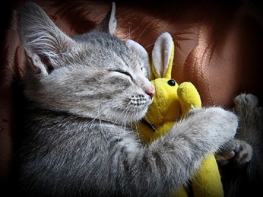 Ad:  internetin-yeni-fenomenleri,iGIrgSCq9UC5_QiK-dXwJw.jpg
Gsterim: 756
Boyut:  273.7 KB