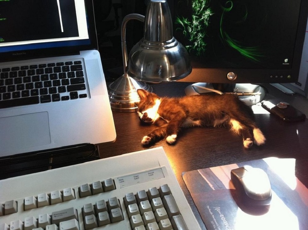 Ad:  internetin-yeni-fenomenleri,sI2Z2px1XUSXT5OFqHQULQ.jpg
Gsterim: 351
Boyut:  185.8 KB