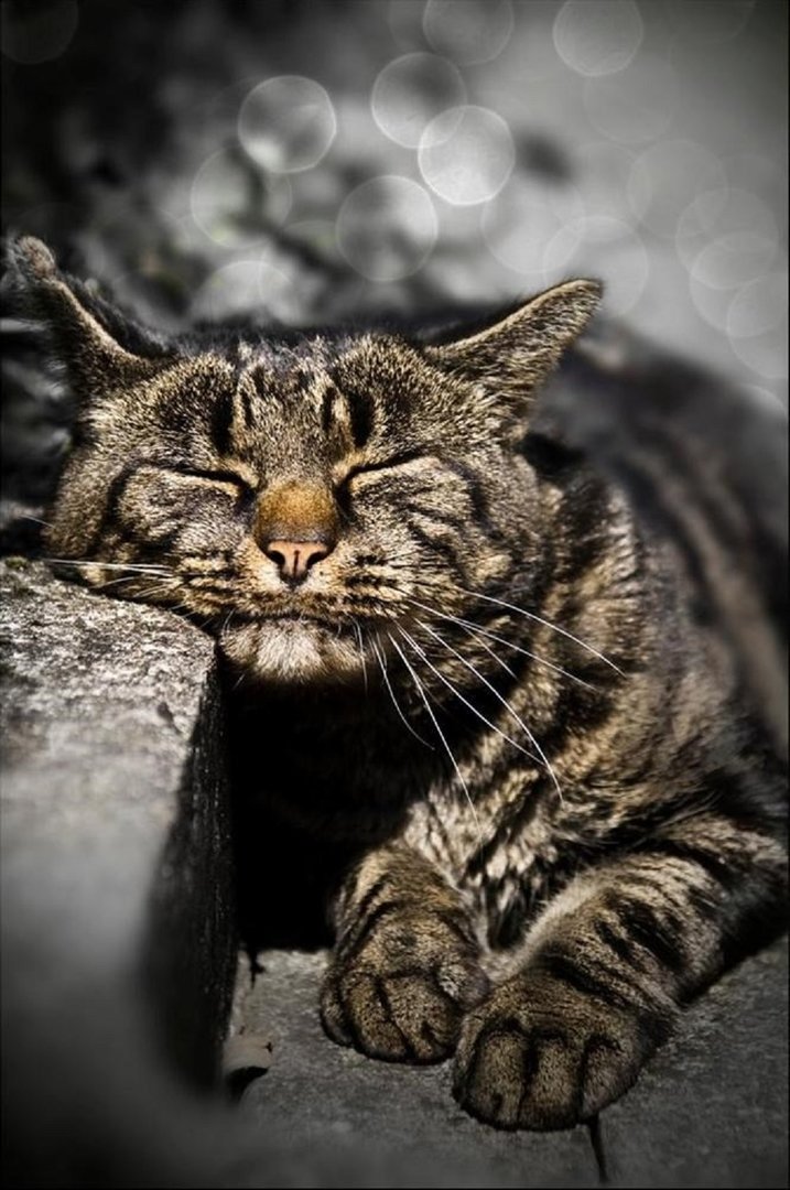 Ad:  internetin-yeni-fenomenleri,xuGb6jvfdEuVkA_ioldKZA.jpg
Gsterim: 429
Boyut:  140.2 KB