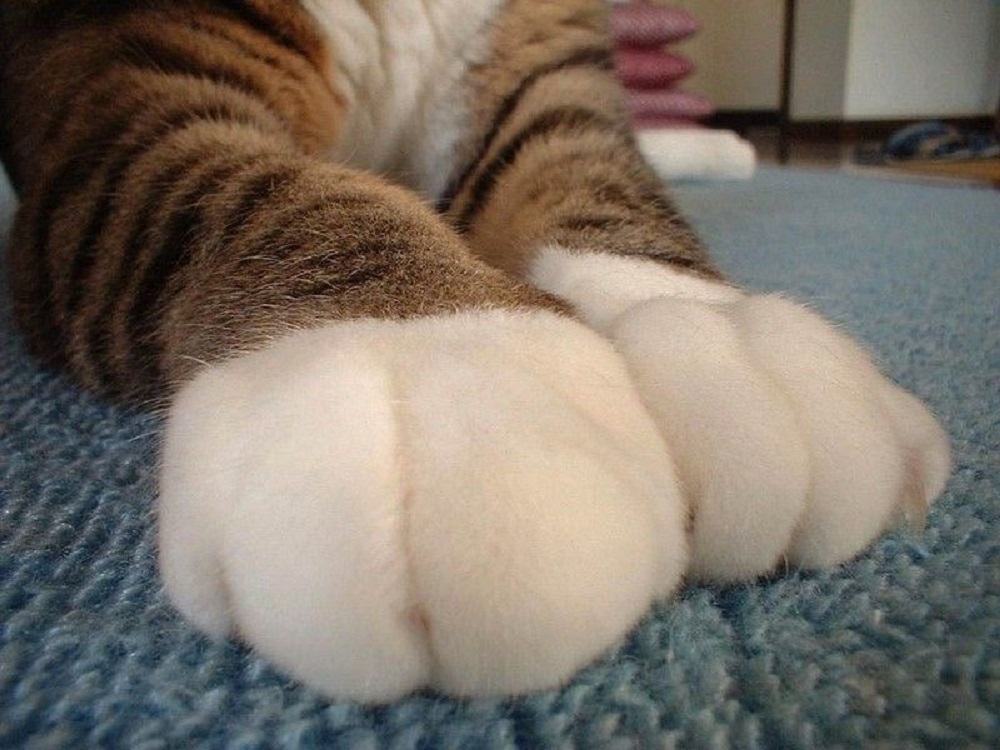 Ad:  internetin-yeni-fenomenleri,DsQ4c_6BeU-dVWiCQCU2_A.jpg
Gsterim: 509
Boyut:  191.8 KB