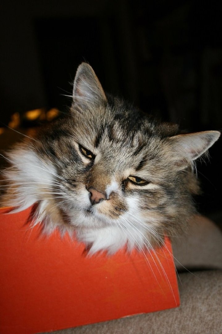 Ad:  internetin-yeni-fenomenleri,mDLrLpFgbkSSwQo6_RAuaA.jpg
Gsterim: 240
Boyut:  97.2 KB