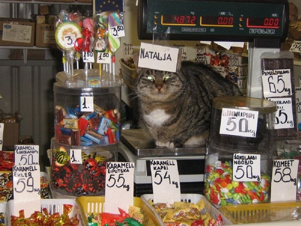 Ad:  internetin-yeni-fenomenleri,j_Q7lYynCUqamZu3CFpFNA.jpg
Gsterim: 382
Boyut:  260.6 KB