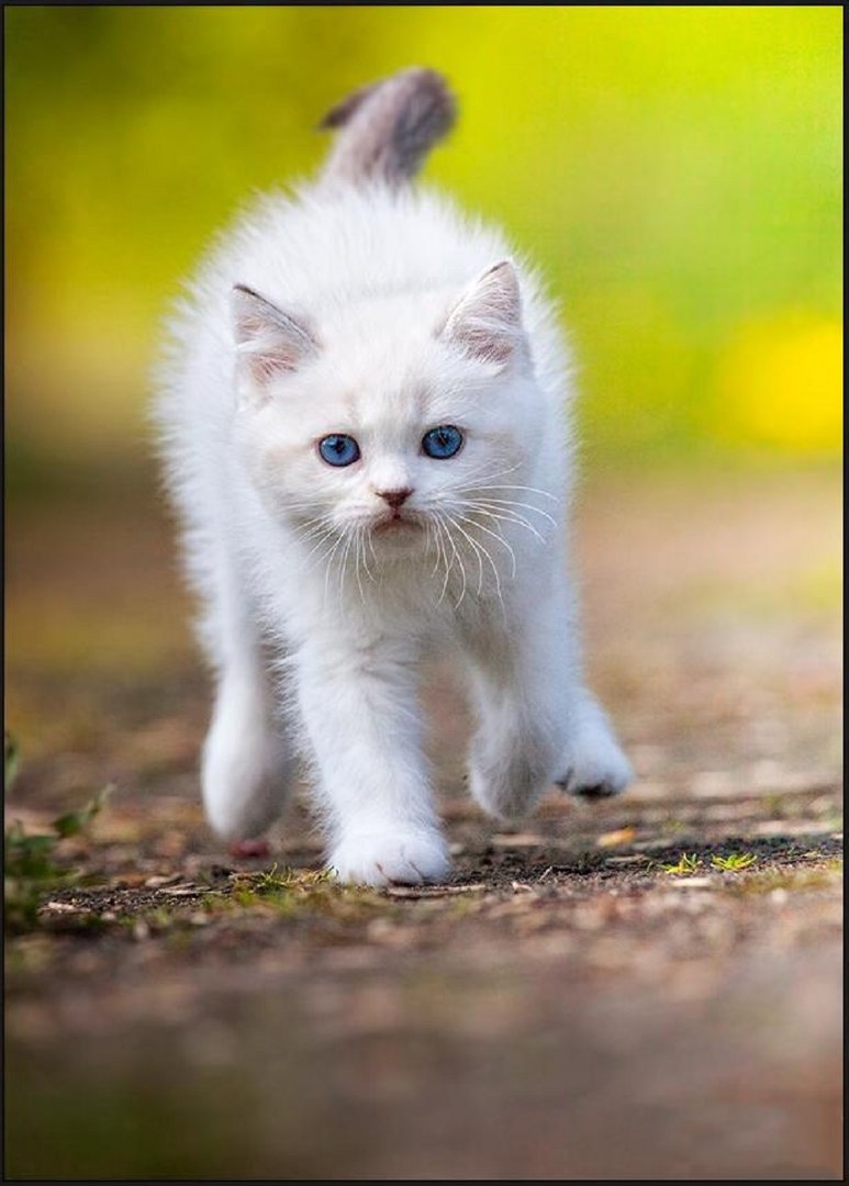 Ad:  internetin-yeni-fenomenleri,WlHw8W9-60KEvTwGRkrpTQ.jpg
Gsterim: 317
Boyut:  92.4 KB