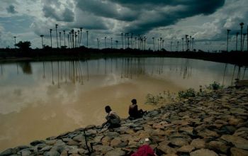 Ad: 11.JPG
Gösterim: 415
Boyut: 22.5 KB