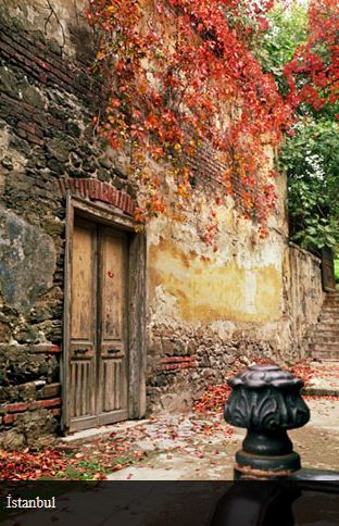 Ad: 30.JPG
Gösterim: 421
Boyut: 59.0 KB