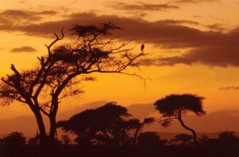 Ad: 17.JPG
Gösterim: 335
Boyut: 21.6 KB