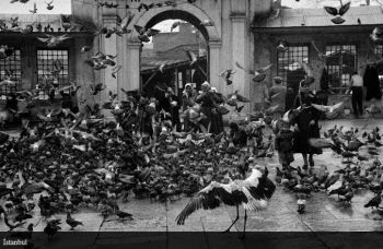 Ad: 24.JPG
Gösterim: 312
Boyut: 32.3 KB