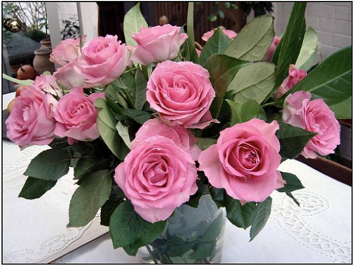 Ad:  roze_rozen.jpg
Gsterim: 306
Boyut:  72.6 KB