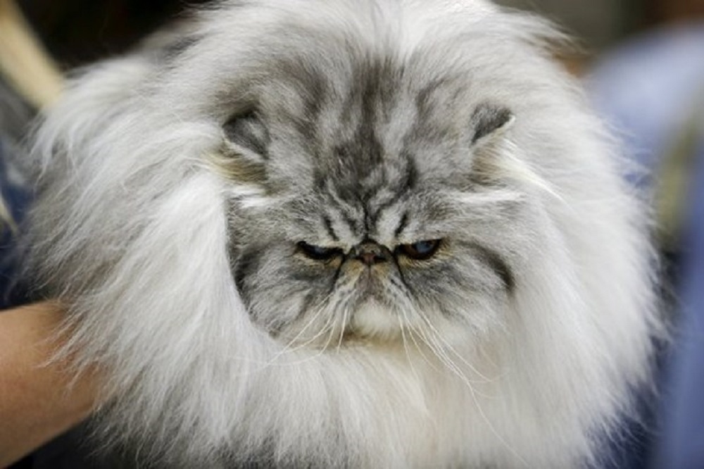 Ad:  ,3i-J1luc7USS0KwYhzFzlA.jpg
Gsterim: 348
Boyut:  144.3 KB