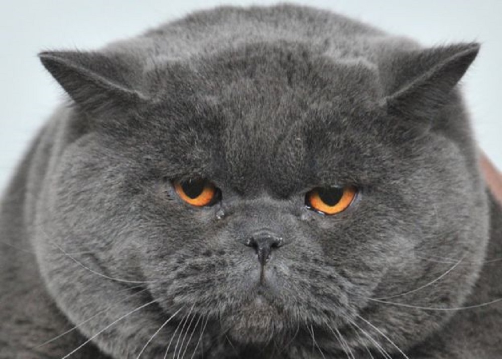 Ad:  _92713273_gettyimages-161785570.jpg
Gsterim: 2186
Boyut:  170.1 KB