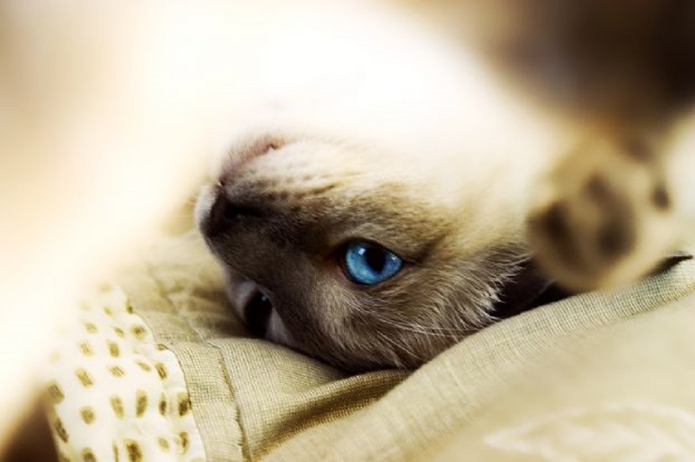 Ad:  1.jpg
Gsterim: 269
Boyut:  115.1 KB