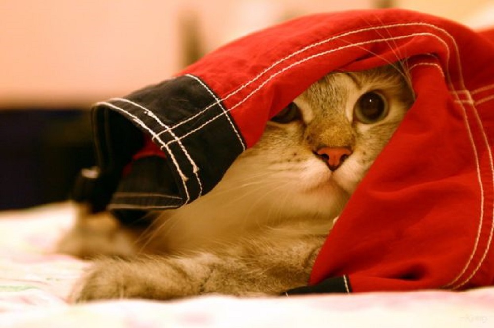 Ad:  3.jpg
Gsterim: 284
Boyut:  123.3 KB