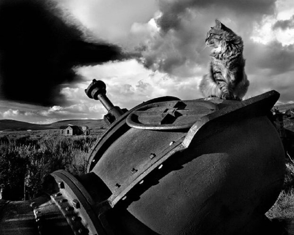 Ad:  2.jpg
Gsterim: 438
Boyut:  172.2 KB