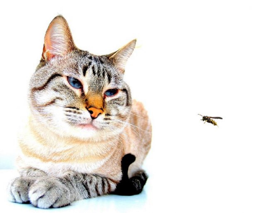 Ad:  5.jpg
Gsterim: 365
Boyut:  132.6 KB