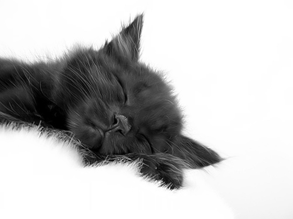 Ad:  20.jpg
Gsterim: 2094
Boyut:  79.8 KB